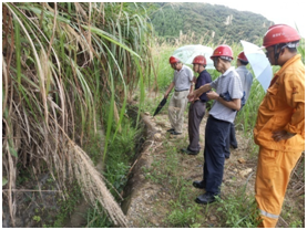 1543551471317703.png 7.png