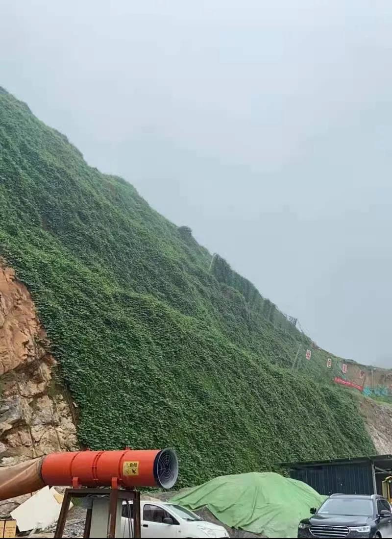 1641779585361466.jpg 9.jpg