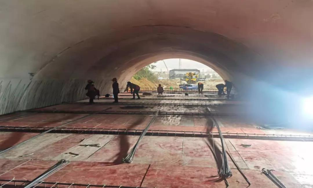 1641779842115536.jpg 12.jpg