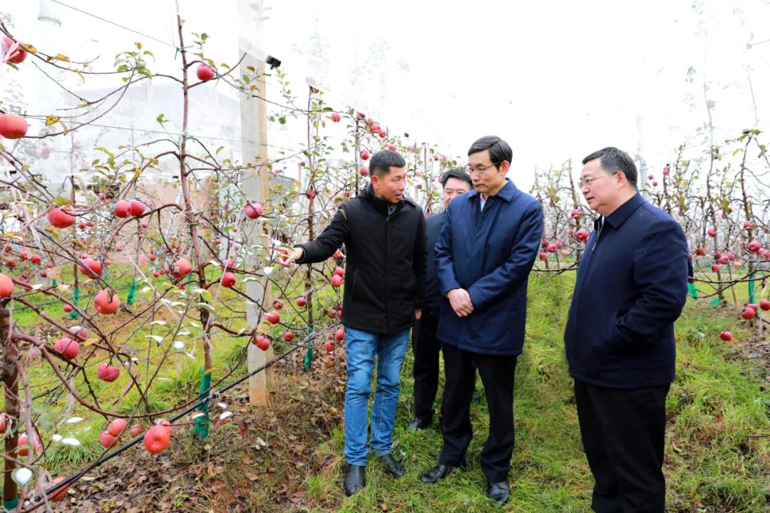 1652769252616227.png 圖片1.png