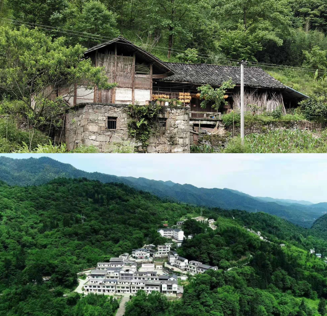 1652769363811742.png 圖片5.png