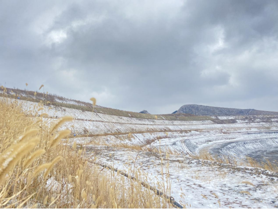 1703135776124751.png image.png