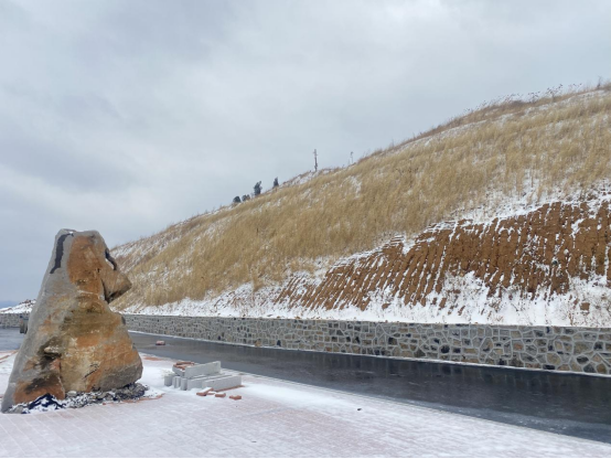 1703135779611134.png image.png