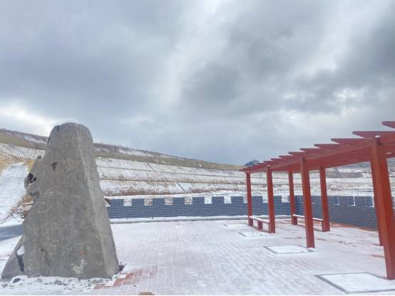 1703135783912337.png image.png