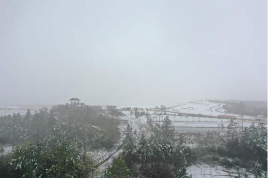 1703135848410727.png image.png