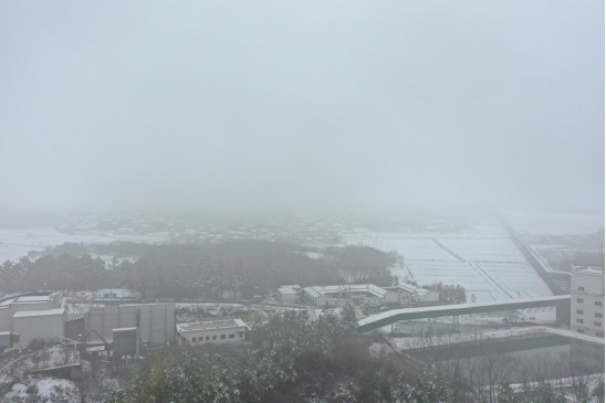 1703135854776323.png image.png